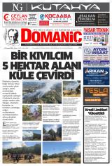 DOMANİÇ