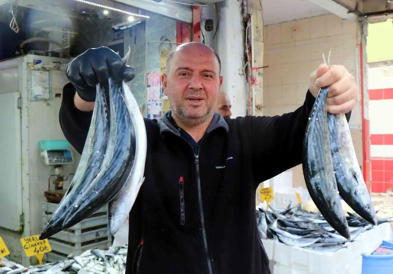Karadeniz’de balık patlaması: Tezgahlar palamut ve çinekopla doldu
