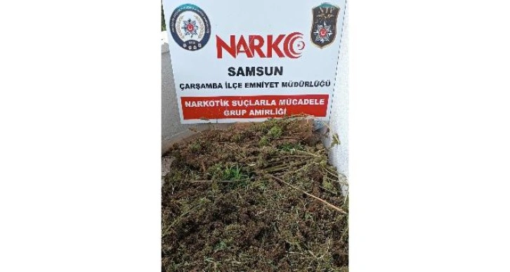 Samsun’da 9 kilo 975 gram esrar ele geçirildi: 8 gözaltı