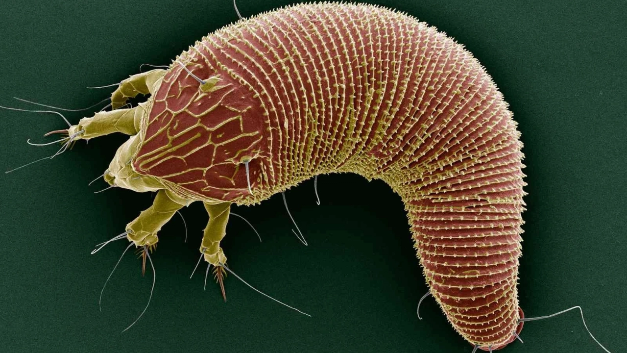 131 proje arasında ilk 10’a girdi