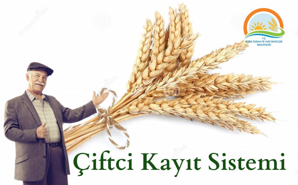 ÇKS başvurularını artık e-Devlet üzerinden gerçekleştirilecek