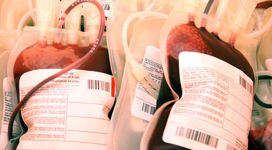 Samsun’da kan stoku yüzde 98 seviyesinde