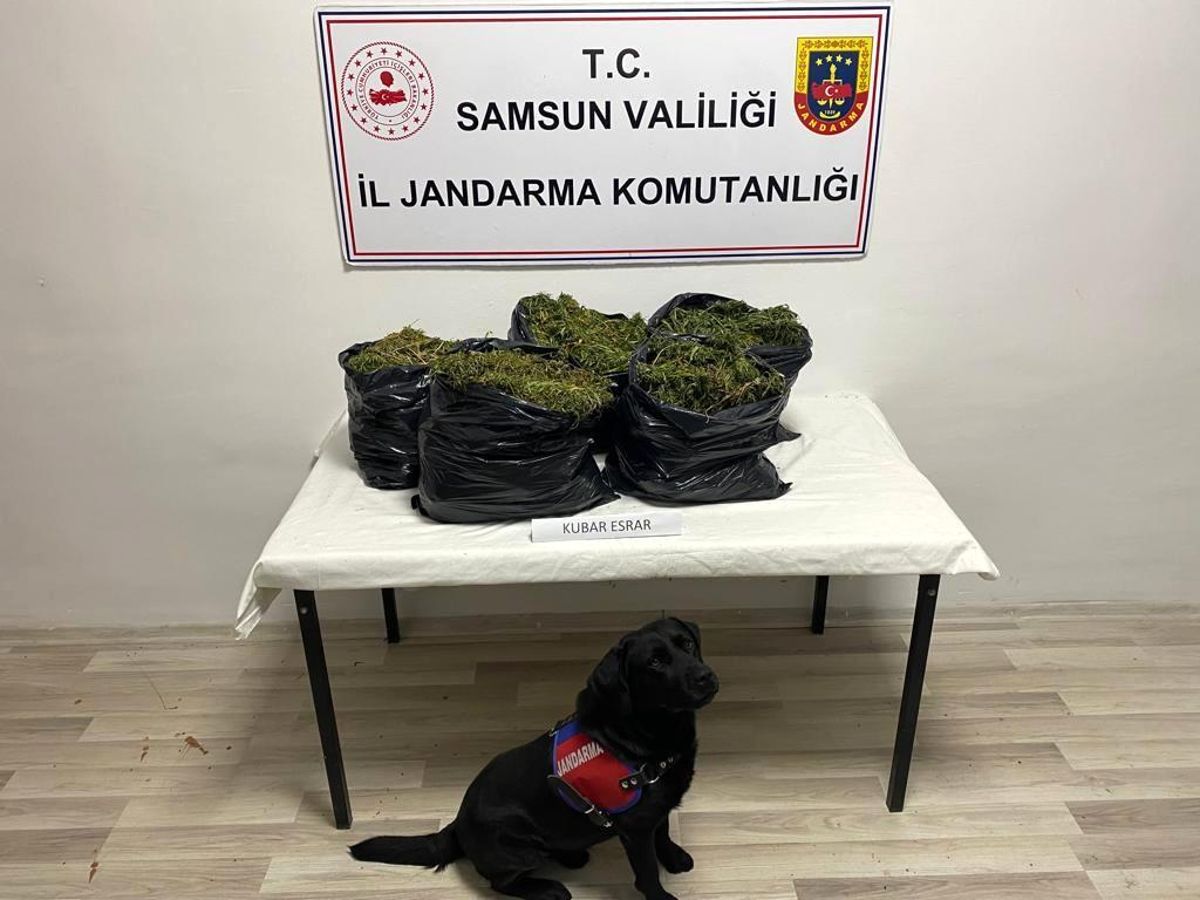 Samsun’da 15 kilo kubar esrar ele geçirildi, 2 kişi yakalandı