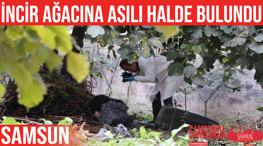 Samsun’da feci olay: incir ağacına asılı halde bulundu