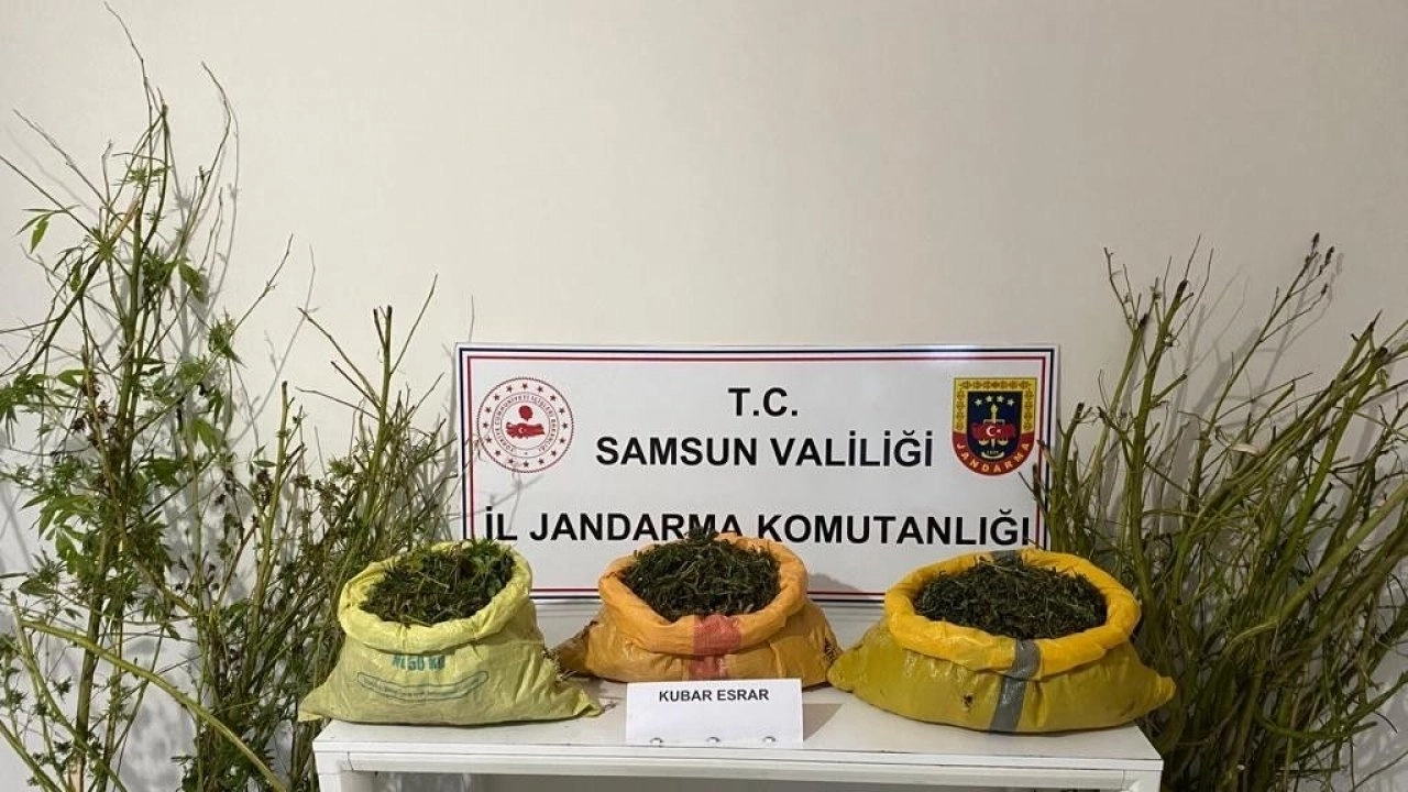 Samsun’da 25 kilo 750 gram kubar esrar ele geçirildi