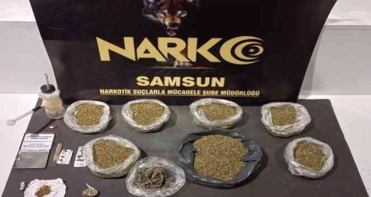 Uyuşturucu hapla yakalanınca evlerinde bonzai de ele geçirildi