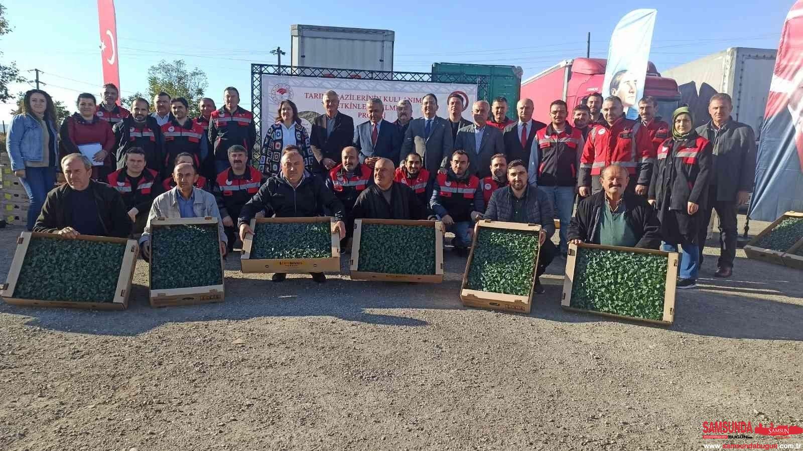 Boş kalan tarım alanlarında brokoli yetiştirilecek