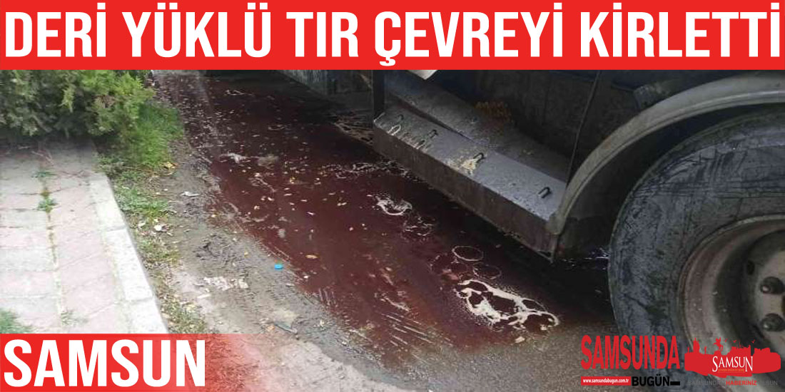Tırdan akan kan çevreyi kirletti