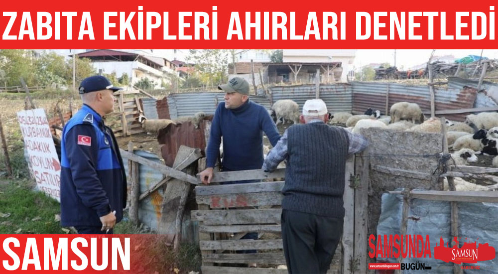 İlkadım’da ahırlara zabıta denetimi