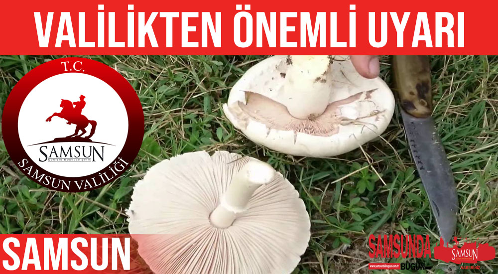 Samsun Valiliği mantardan zehirlenmeler için uyardı