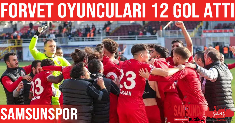 Samsunspor forvetleri 12 gol attı