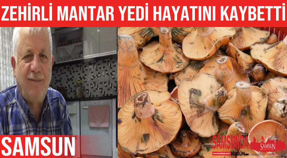 Zehirli mantar yiyen koca öldü, eşi ölümden döndü
