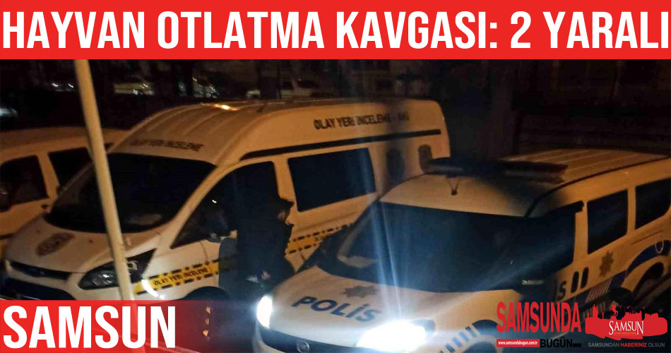 Arazide hayvan otlatma tartışmasında 2 kişi yaralandı