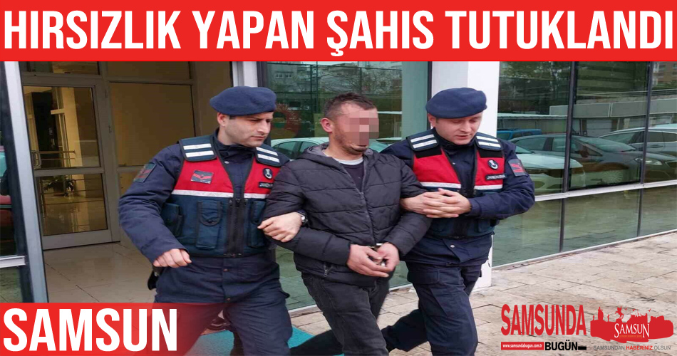 Bağ evlerinden hırsızlık yapan şahıs tutuklandı