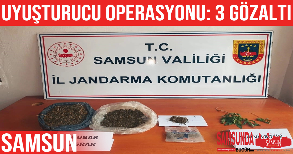 Samsun’da jandarmadan uyuşturucu operasyonu: 3 gözaltı
