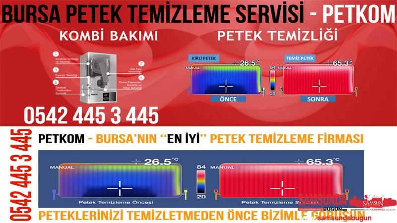 Bursa Petek Temizleme