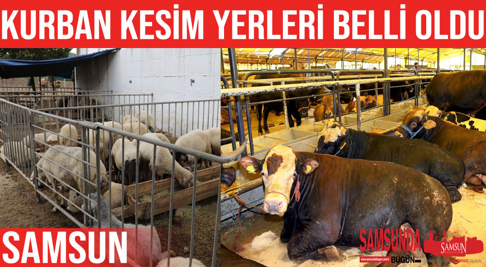 Samsun’daki kurban kesim yerleri belli oldu